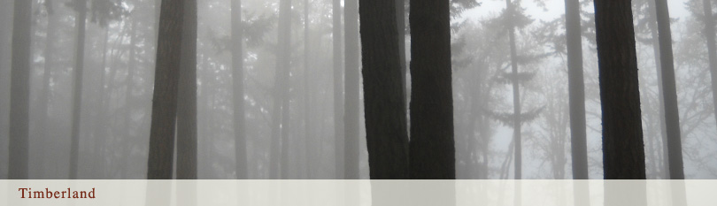 featured-006